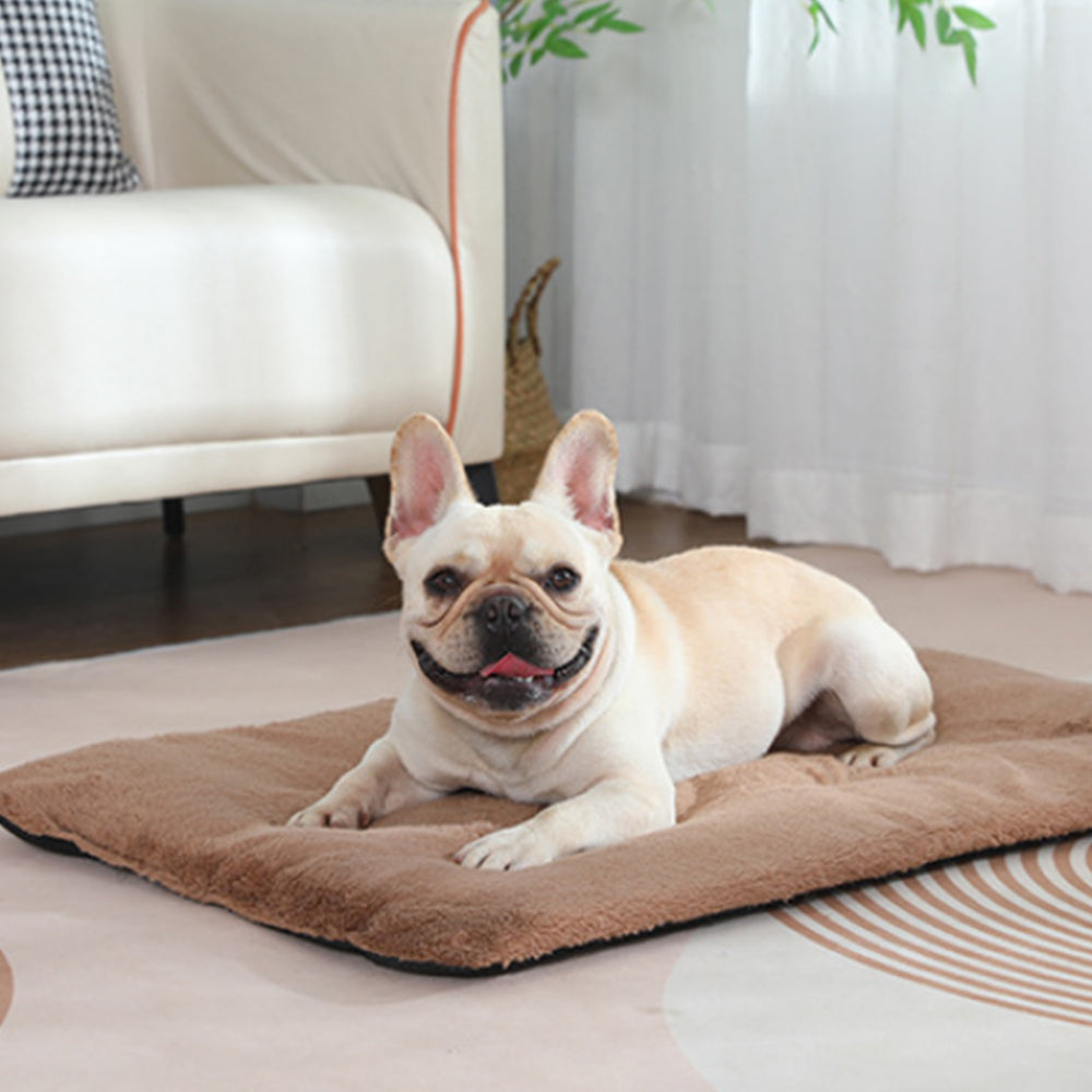 Self-Heating Pet Blanket