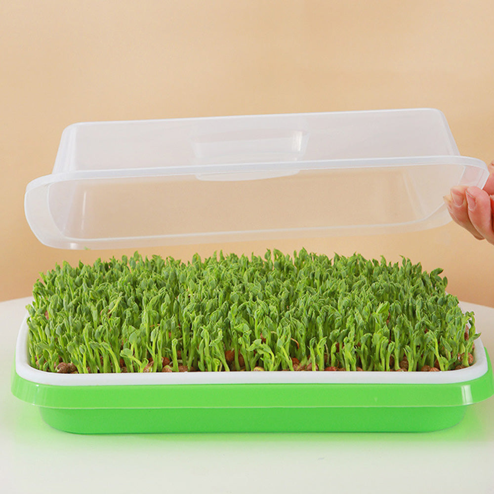 5 Pack Seed Sprouter Trays for Microgreens Soil-Free Growing with Drain Holes