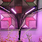 Grow Light for Indoor Plants with 9 Dimmable Levels Red Blue Spectrum Plant Light