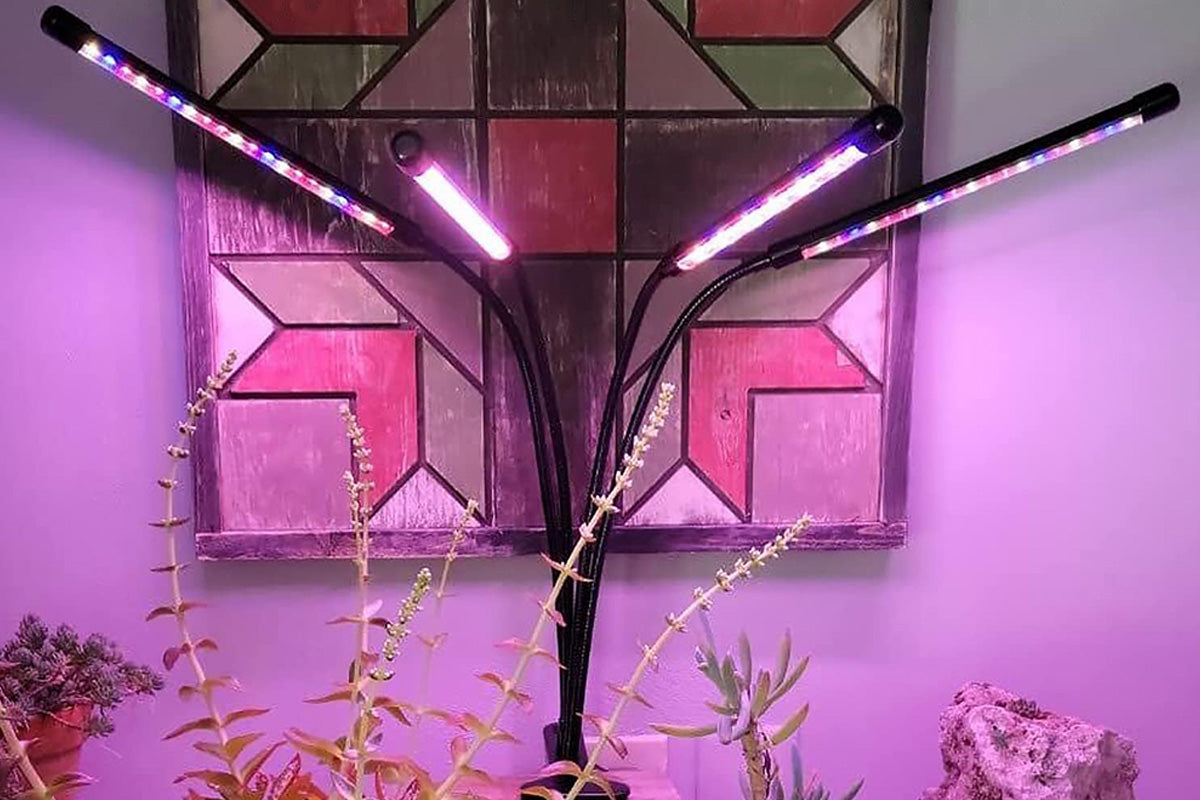 Grow Light for Indoor Plants with 9 Dimmable Levels Red Blue Spectrum Plant Light