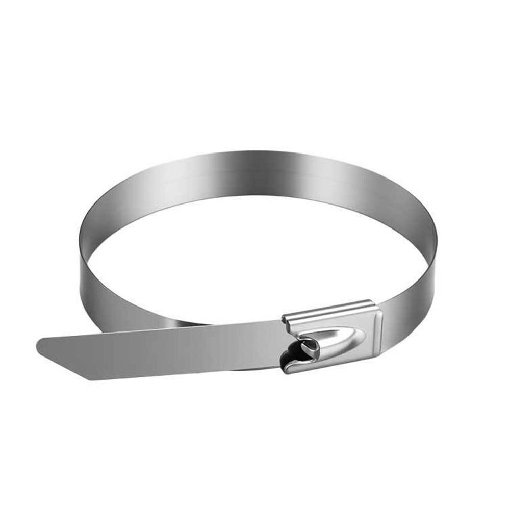 100Pcs 304 Stainless Steel Self-Locking Cable Ties 0.46 cm Wide 15 or 30 cm