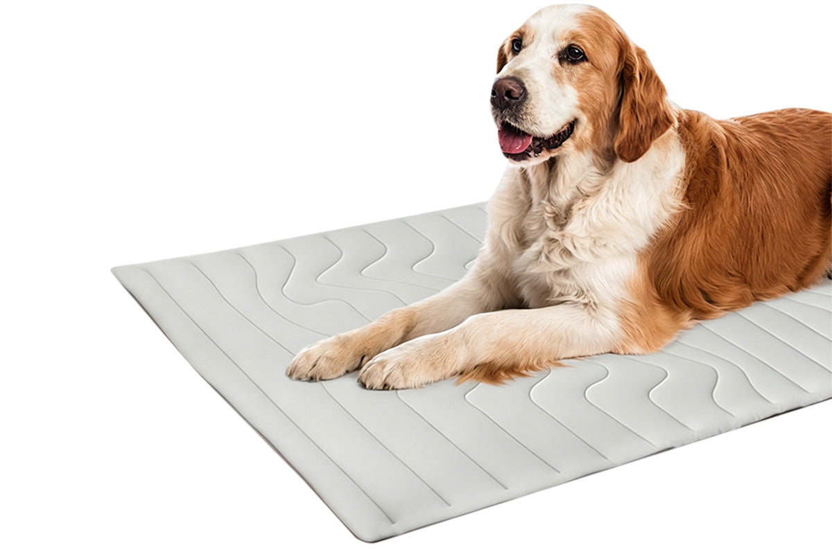 Scratch Resistant Summer Cooling Mat for Pet