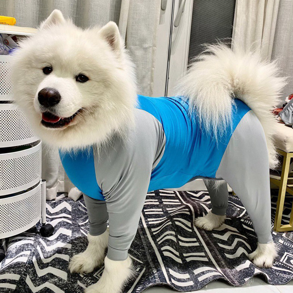 Dog Recovery Suit Abdominal Wound Surgical Clothes Anti-Licking after Surgery
