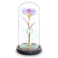 Eternal Rose Night Light in Glass Dome with LED