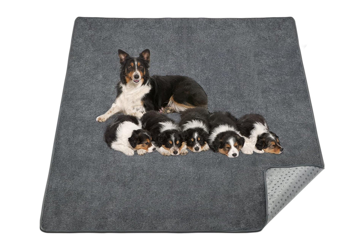 Coral Fleece Washable Dog Mat Non Slip Reusable Pee Pad for Pets