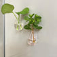 8PCS Mini 3D Ceramic Vase Fridge Magnets