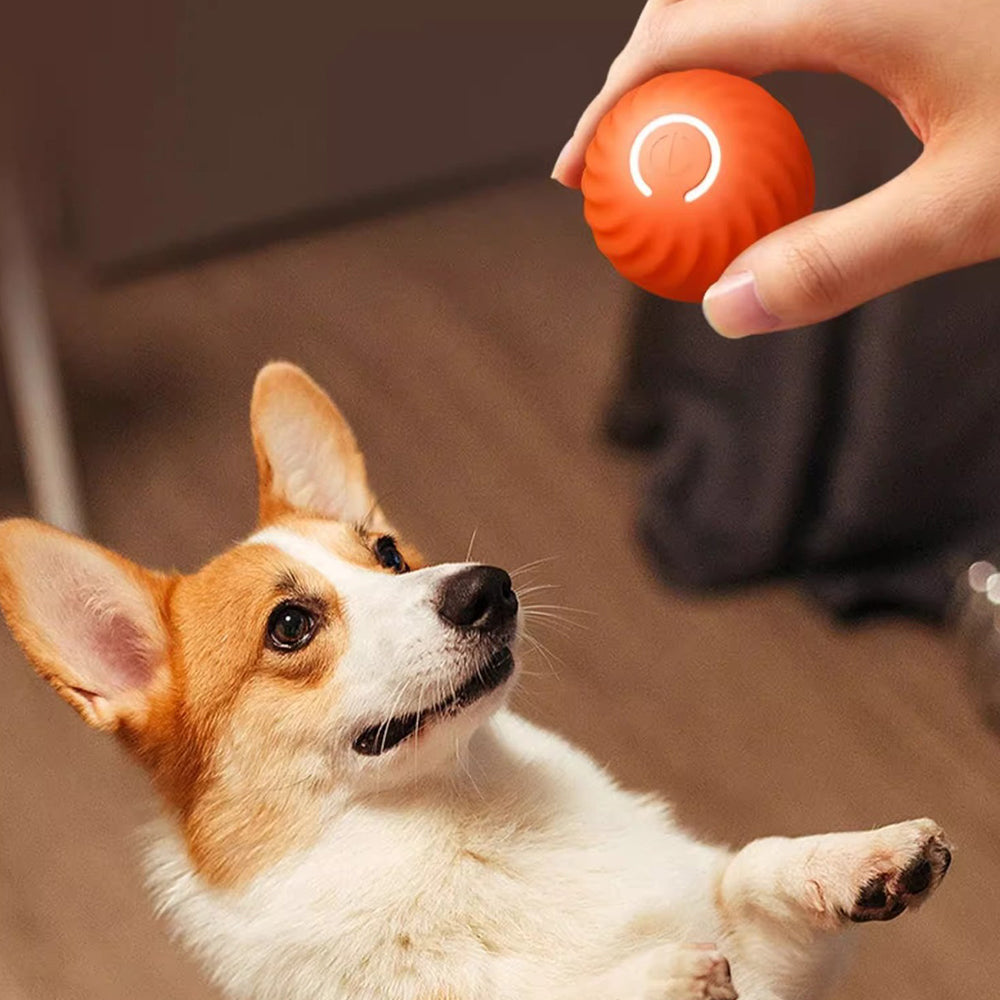 Interactive 56mm Smart Dog Toy Ball Automatic Moving USB Rechargeable Pet Ball