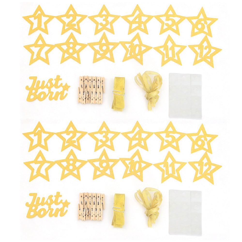 2 Pack 1 to 12 Month Glitter Star Photo Banner for First Birthday Party