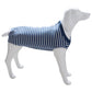 Dog Abdominal Clothes Belly Pet Clothing-Blue
