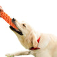 10Pcs Pet Chew Rope Toy