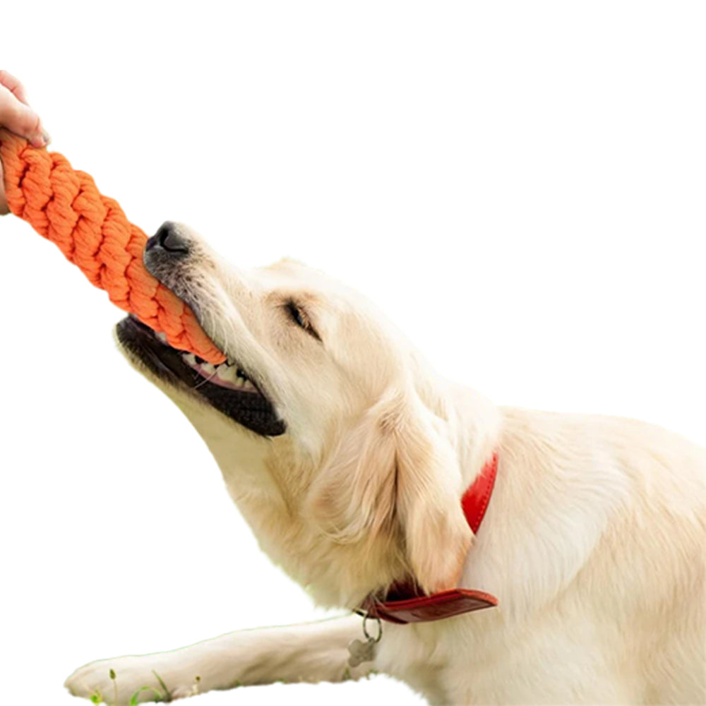 10Pcs Pet Chew Rope Toy