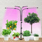 LED Grow Light Full Spectrum with Adjustable Tripod Stand for Indoor Plant