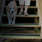 Peel and Stick Stair Treads for Wooden Steps Outdoor Anti Slip Traction Tape