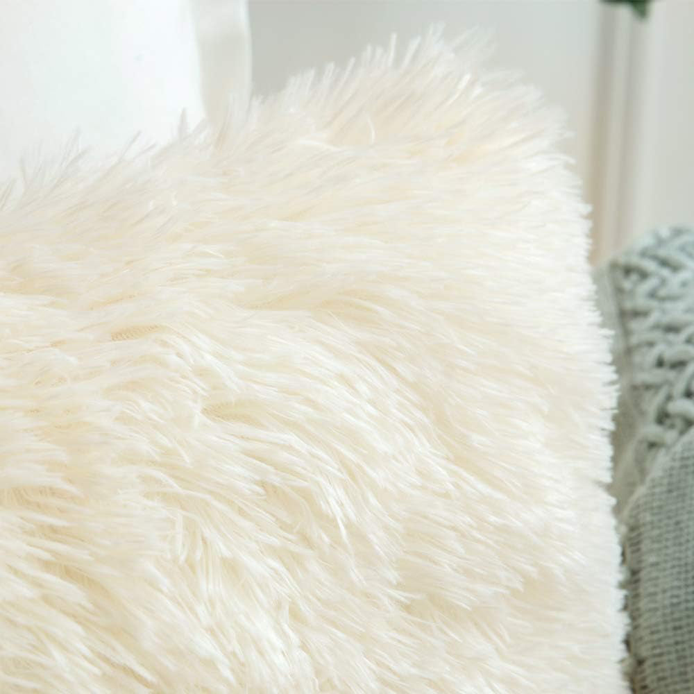 Two-Pack Plush Square Cushion Cases Pillow Covers