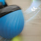Squeaky Dog Toy Active Rolling Ball Interactive Dog Toys With Motion Activated