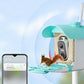 Smart Bird Feeder with Camera AI Identify 10000+ Birds Solar Powered Outdoor Live View for Bird Lovers