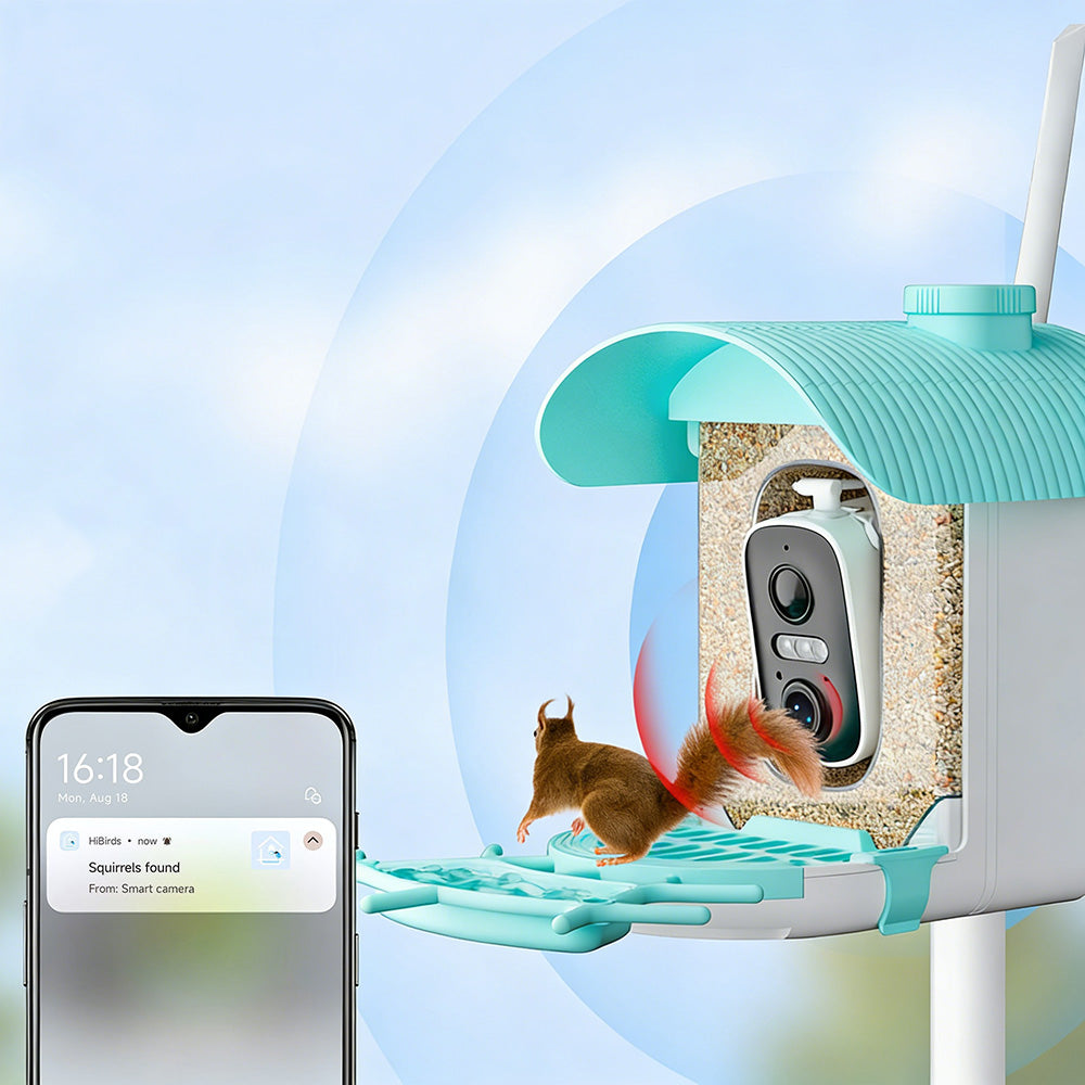 Smart Bird Feeder with Camera AI Identify 10000+ Birds Solar Powered Outdoor Live View for Bird Lovers