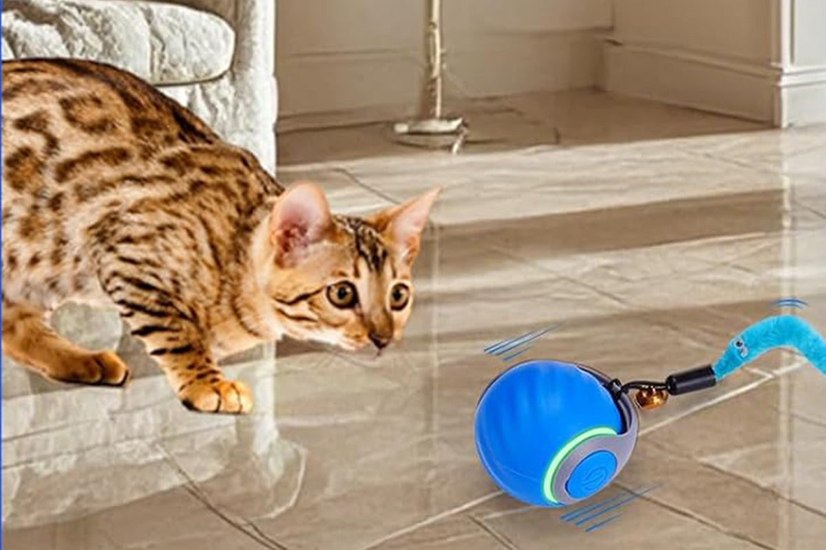 Interactive Cat Toy Ball Automatic Interactive Cat Toys Indoor with 3 Tails