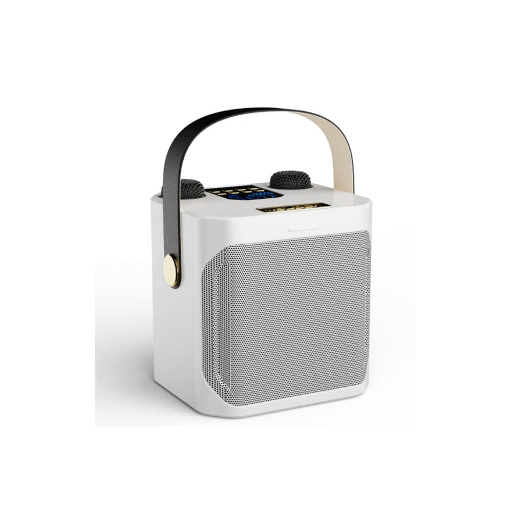 Karaoke Machine with 2 Wireless Mics Bluetooth Portable Karaoke Speaker