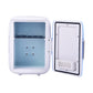 4L Mini Car Cooling and Heating Refrigerator