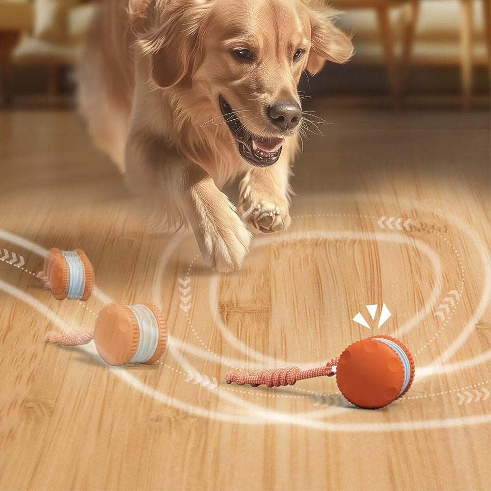 Interactive Pet Rolling Ball Toy Rechargeable Automatic Play Ball for Cats and Dogs
