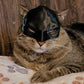 Bat Cat Avenger Mask Cute Cat Bat Mask Cosplay Hat