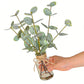 Realistic Artificial Eucalyptus Plant 3-Branch Faux Water Decorative Leaves