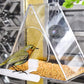 Smart WiFi Bird Feeder with 720P Camera for Real-Time Monitoring