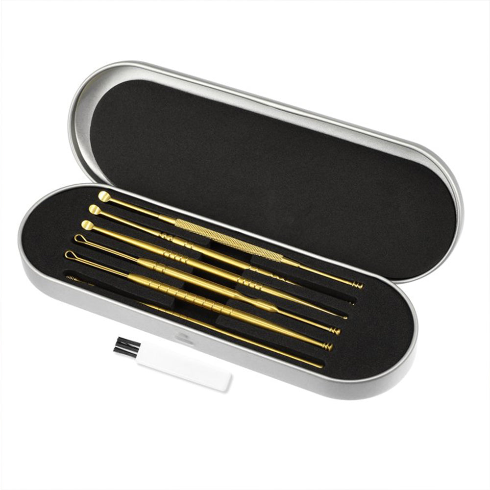 6Pcs Stainless Steel Ear Cleaning Tool Set with Storage Case