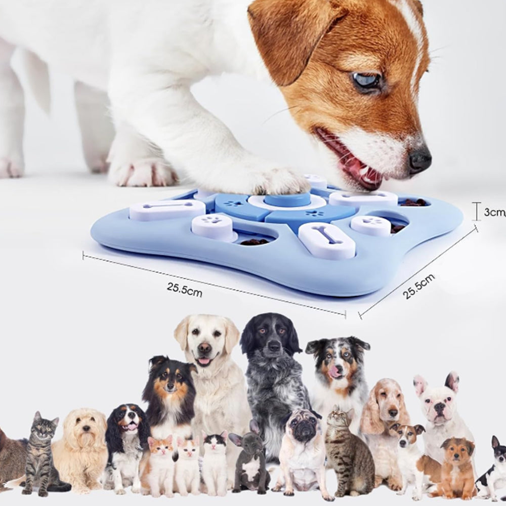 Pet Slow Feeder and IQ Interactive Sounding Toy