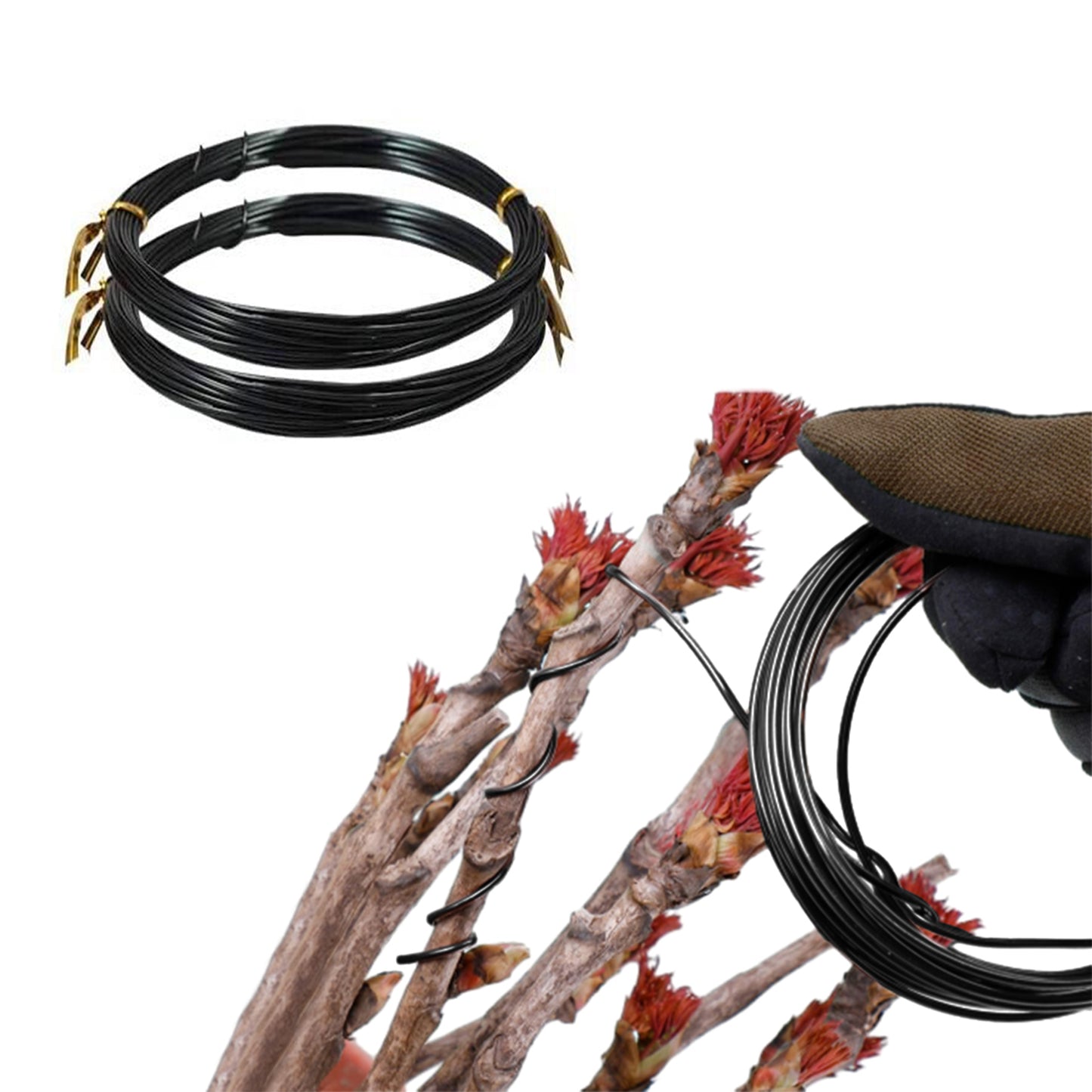 2 Rolls Anodized Aluminum Bonsai Training Wires