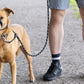 Black Dog Lead with Padded Nose Loop Anti-Pull Training Leash for Medium and Large Dogs