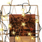 Outdoor Solar String Flower Lights Fairy Lights for Garden and Christmas Decoration