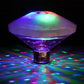 LED Waterproof Pool Light