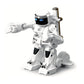 2Pcs 2.4G RC Battle Robots with Sound Effects and LED Lights-Black and White