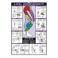 Gym Workout Muscle Poster