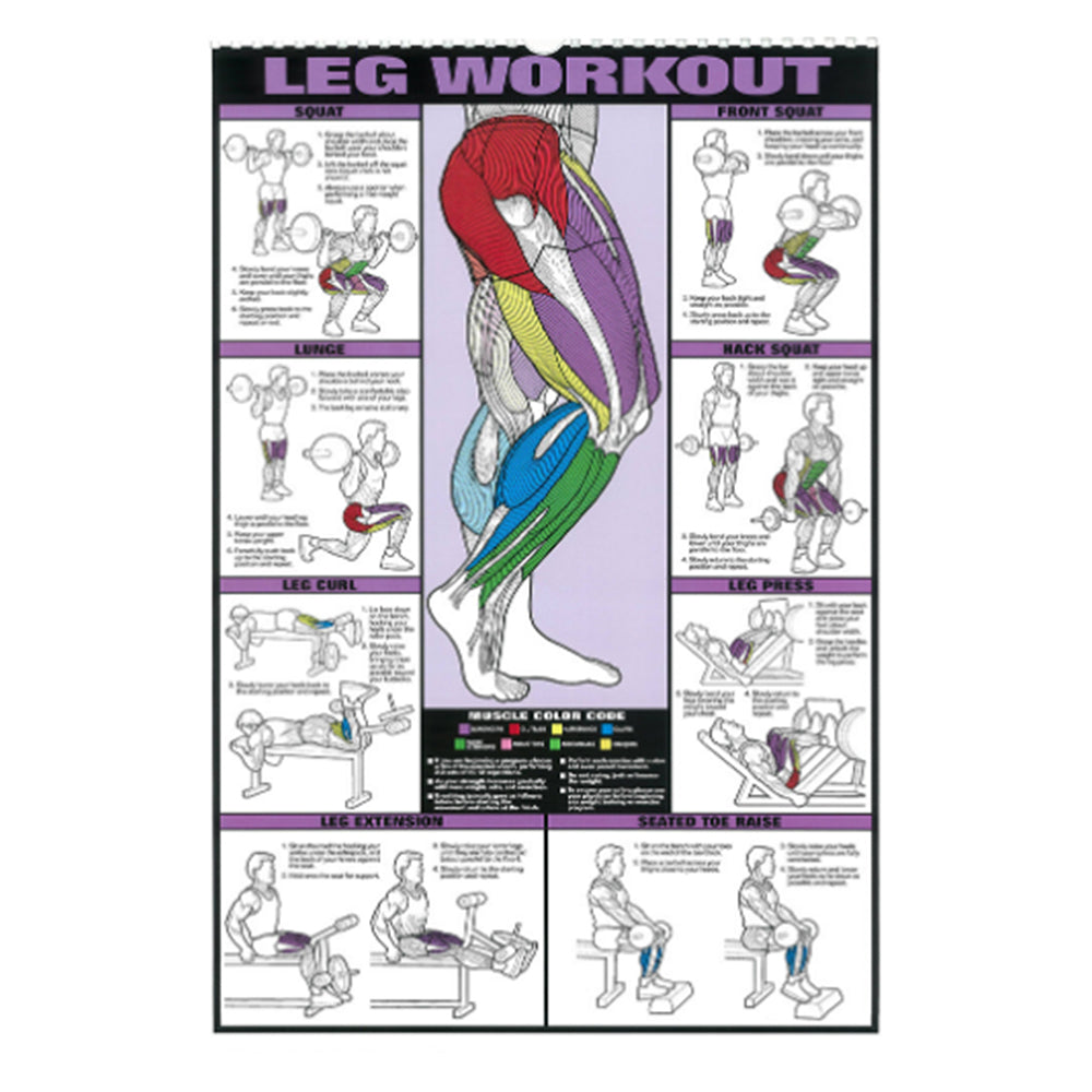 Gym Workout Muscle Poster