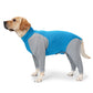 Dog Recovery Suit Abdominal Wound Surgical Clothes Anti-Licking after Surgery