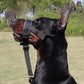 Adjustable Dog Head Collar with Padded Nose Loop for Training