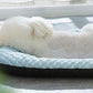 Pets Bolster Cooling Dog Bed Summer Cat Bed Pad Pet Mat Pet Sleeping Pad