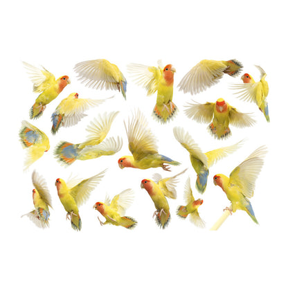 Parrot Wall Decals Green Leaf Birds Watercolor Stickers