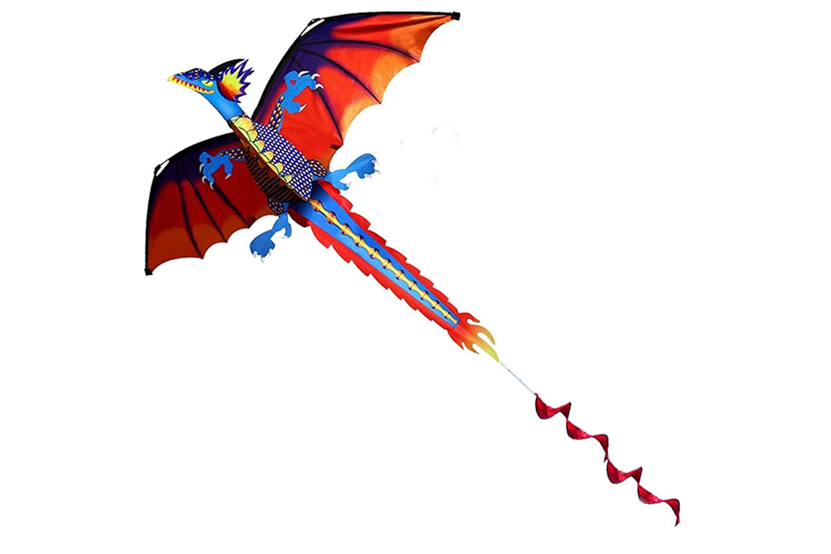2X Outdoor Colorful 3D Dragon Flying Kite with 100m Tail Line 1.4m