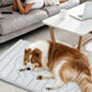 Scratch Resistant Summer Cooling Mat for Pet