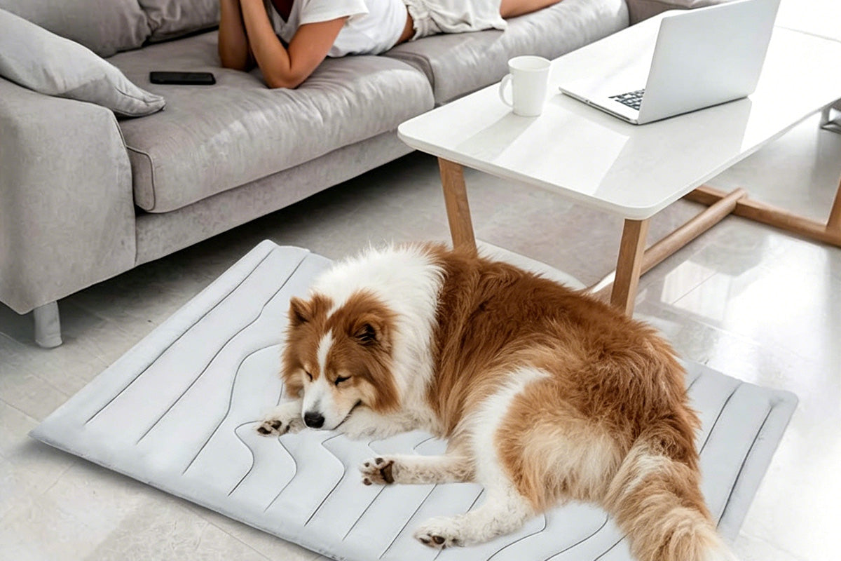 Scratch Resistant Summer Cooling Mat for Pet
