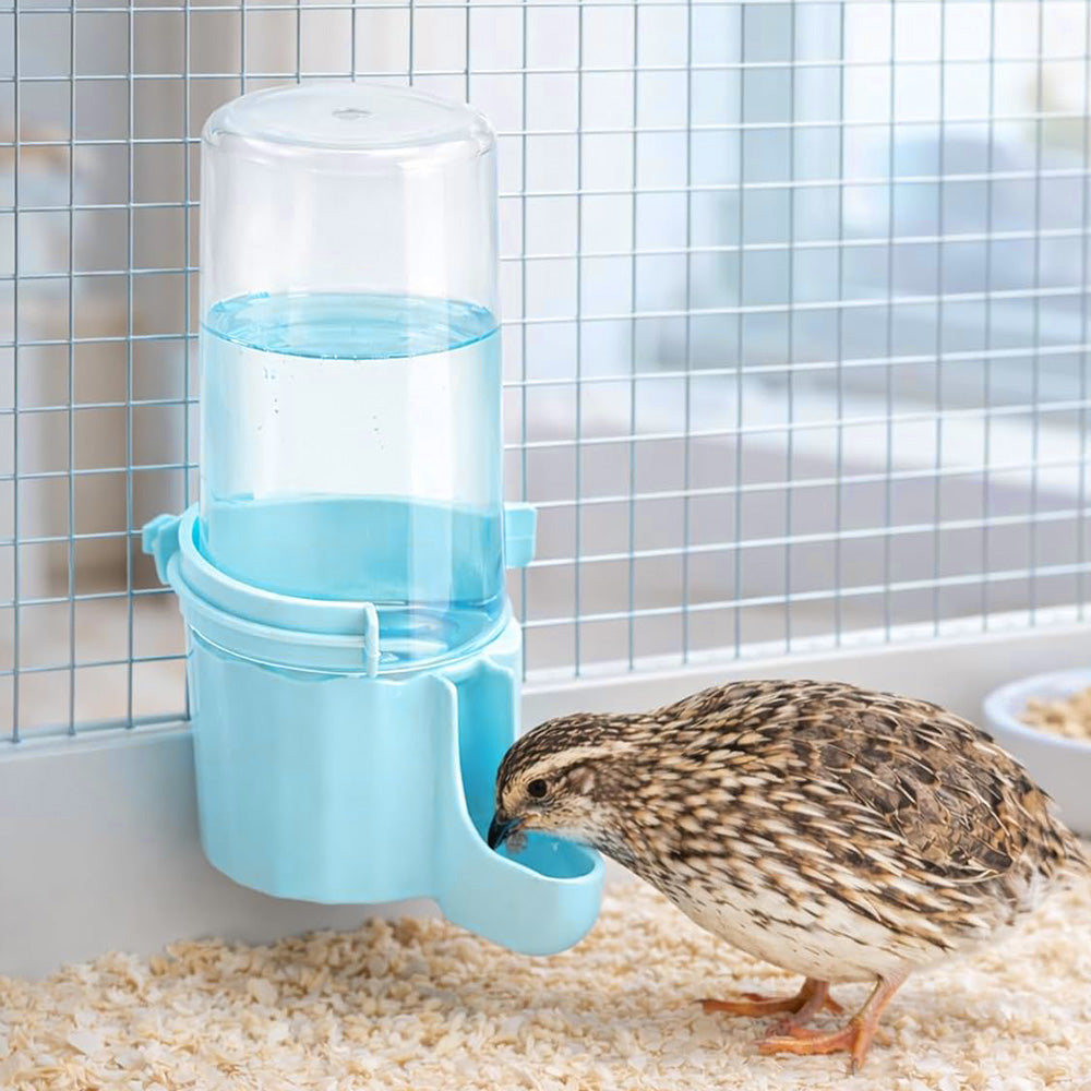 Bird Waterer Automatic Gravity Drinking Fountain for Cage with Anti Drowning Tray
