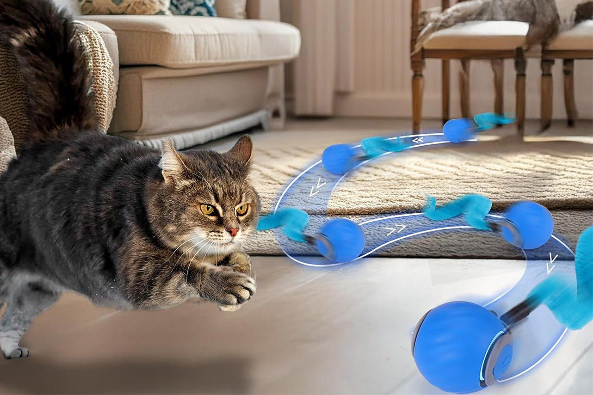 Interactive Cat Toy Ball Automatic Interactive Cat Toys Indoor with 3 Tails