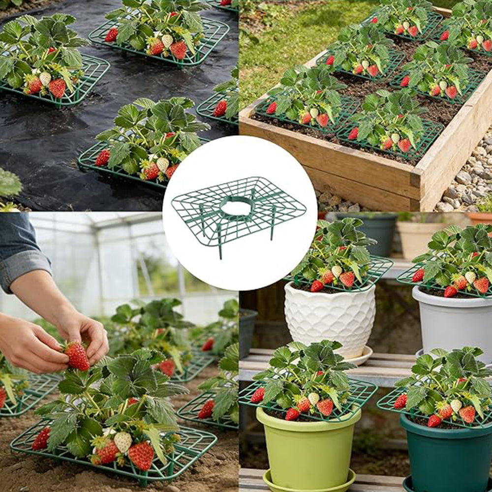 10 Pack Strawberry Plant Support Reusable Garden Trellis Plant Holder