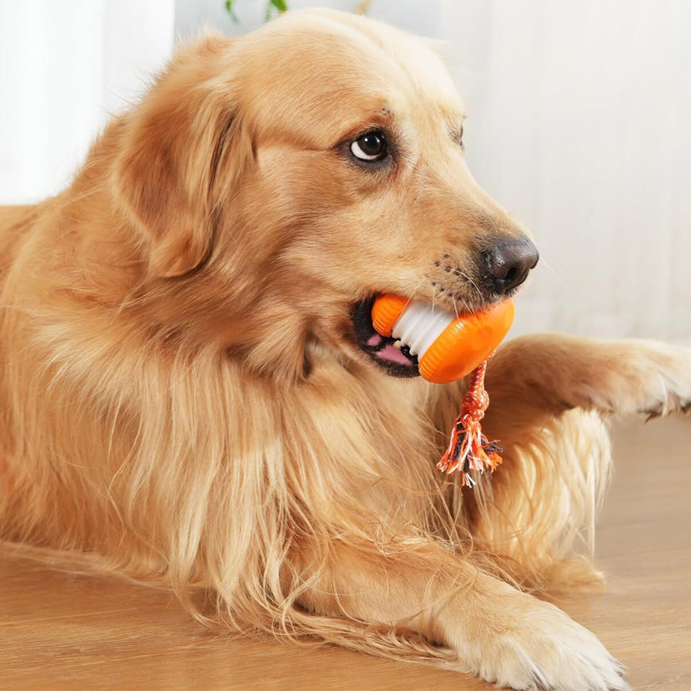 Interactive Pet Rolling Ball Toy Rechargeable Automatic Play Ball for Cats and Dogs