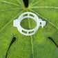 100Pcs Plant Support Clips Reusable Garden Clips Secured Plastic Plant Clips
