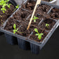 120x100cm Plants Black Capillaries Mat Self Watering System 3mm Thick